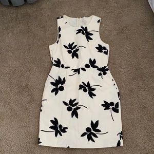 Fit and flare pattern dress